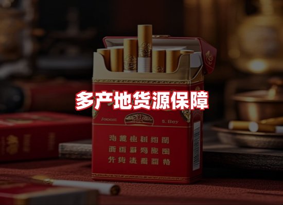专业团队